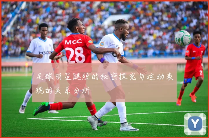足球明星腿短的秘密探究与运动表现的关系分析