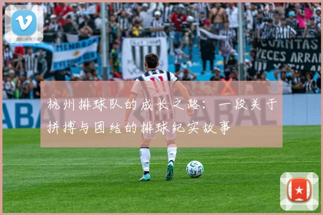 杭州排球队的成长之路：一段关于拼搏与团结的排球纪实故事