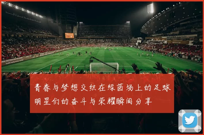 青春与梦想交织在绿茵场上的足球明星们的奋斗与荣耀瞬间分享