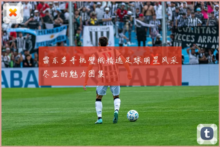 雷东多手机壁纸精选足球明星风采尽显的魅力图集