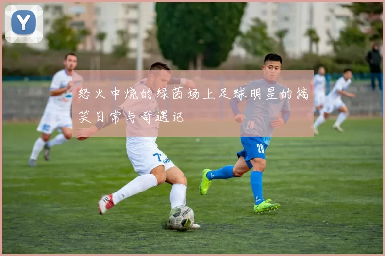 怒火中烧的绿茵场上足球明星的搞笑日常与奇遇记