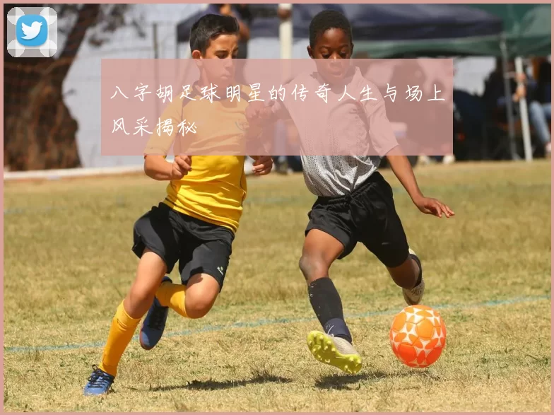 八字胡足球明星的传奇人生与场上风采揭秘