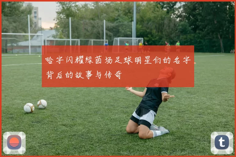 哈字闪耀绿茵场足球明星们的名字背后的故事与传奇