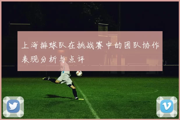 上海排球队在挑战赛中的团队协作表现分析与点评