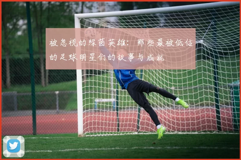 被忽视的绿茵英雄：那些最被低估的足球明星们的故事与成就