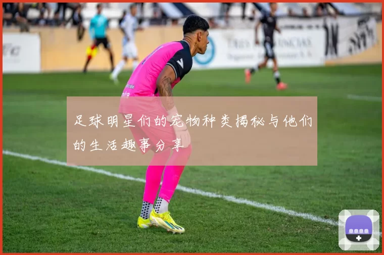 足球明星们的宠物种类揭秘与他们的生活趣事分享