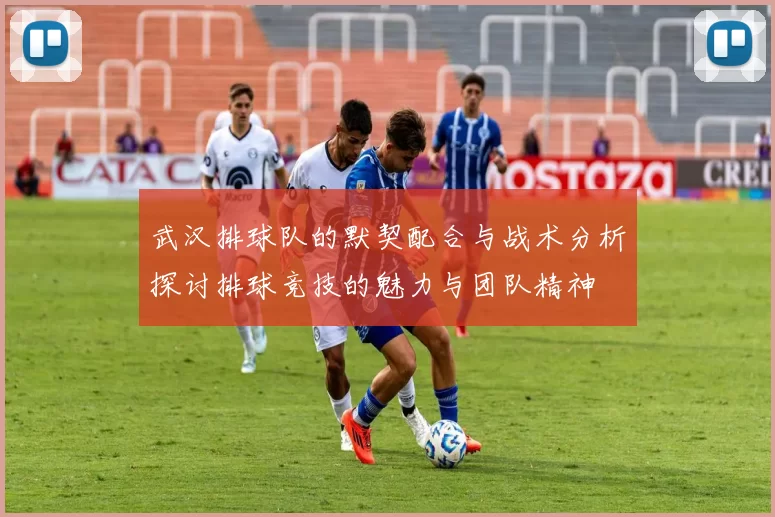 武汉排球队的默契配合与战术分析探讨排球竞技的魅力与团队精神