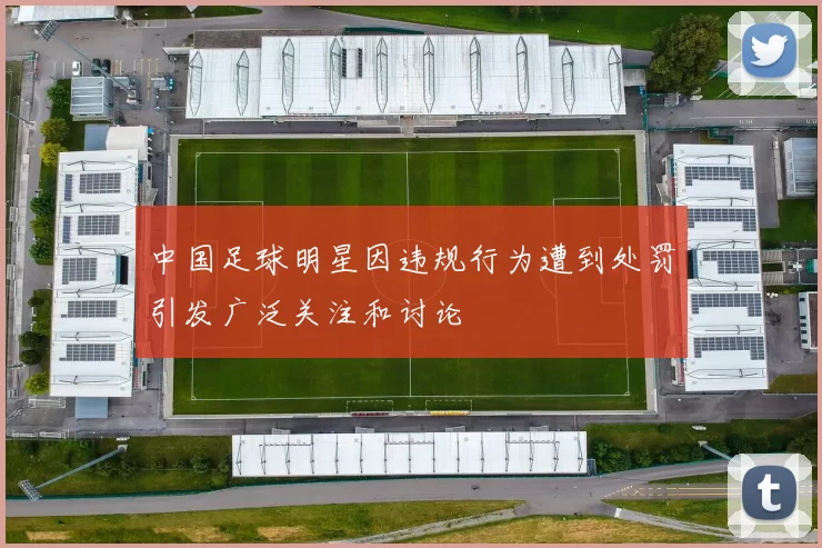 中国足球明星因违规行为遭到处罚引发广泛关注和讨论